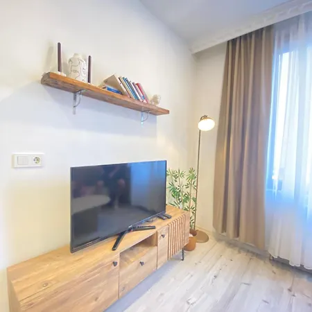 Historical Comfy Flat In Beyoglu Tophane, Galata 公寓