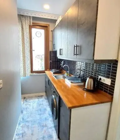 Historical Comfy Flat In Beyoglu Tophane, Galata Lägenhet