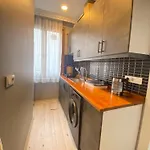 Historical Comfy Flat In Beyoglu Tophane, Galata *
