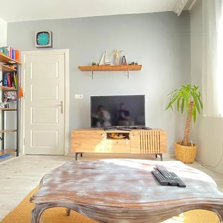 Historical Comfy Flat In Beyoglu Tophane, Galata Istanboel