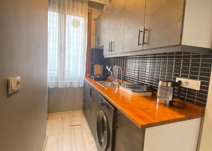 Historical Comfy Flat In Beyoglu Tophane, Galata *