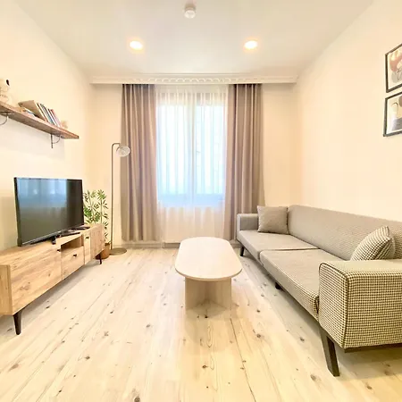 Historical Comfy Flat In Beyoglu Tophane, Galata Istambul